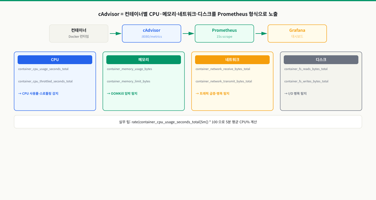 cAdvisor 메트릭 구조