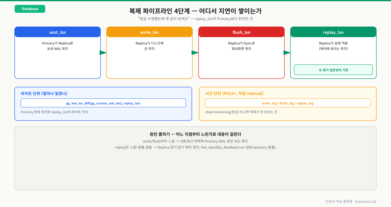 복제 파이프라인 4단계(sent_lsn→write_lsn→flush_lsn→replay_lsn), replay_lsn이 읽기 일관성의 기준임과 바이트/시간 단위 정량화, 원인별 대응 방향