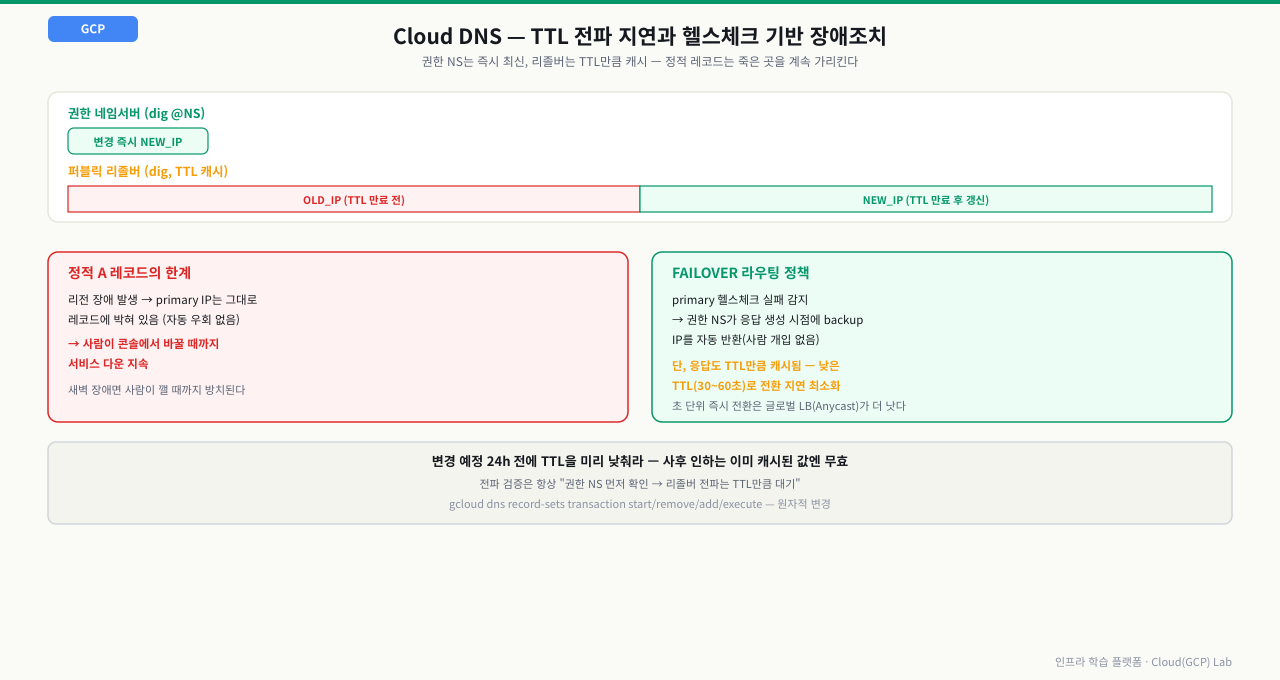 권한 네임서버는 변경 즉시 새 IP를 반환하지만 퍼블릭 리졸버는 TTL이 만료될 때까지 옛 IP를 캐시해 전파가 지연되는 타임라인과, 정적 A 레코드는 리전 장애 시 사람이 바꿀 때까지 죽은 IP를 계속 가리키는 한계 vs FAILOVER 라우팅 정책이 헬스체크 실패를 감지해 backup을 자동 반환하는 구조를 비교한 다이어그램
