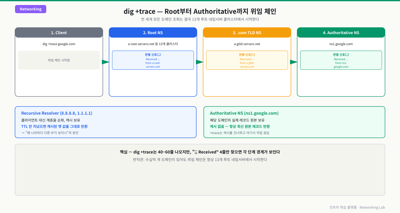 dig +trace의 Root NS→.com TLD NS→Authoritative NS 4단계 위임 체인과 각 단계의 ";; Received" 판별 신호, Recursive Resolver(캐시) vs Authoritative NS(원본) 차이