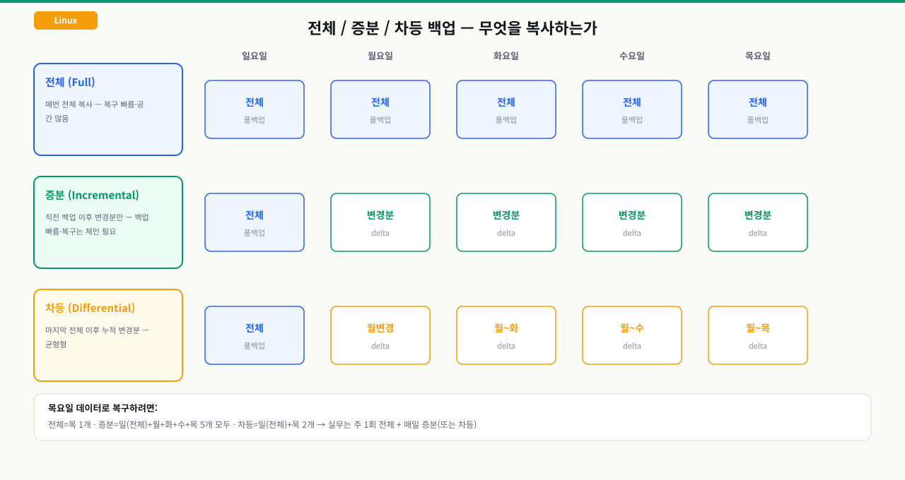 전체·증분·차등 백업이 요일별로 무엇을 복사하는지 비교한 다이어그램