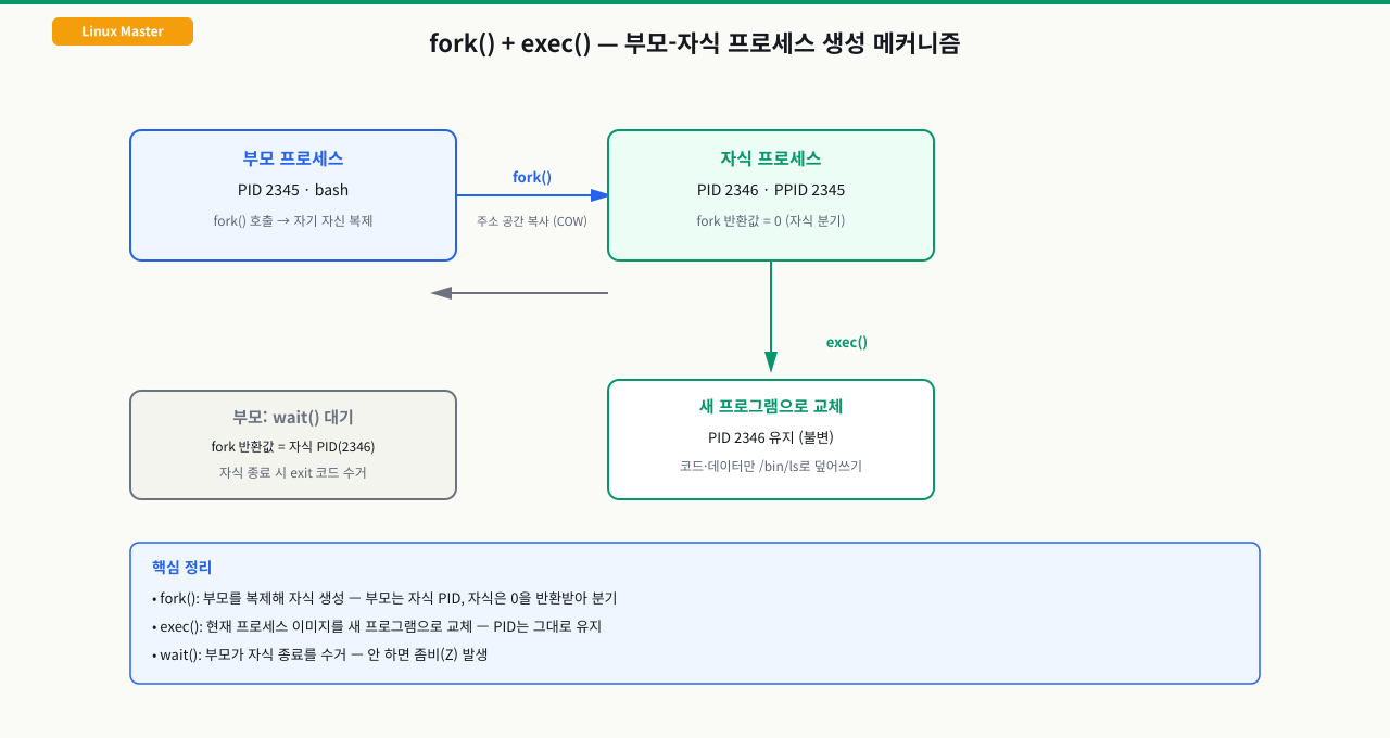 fork()로 자식을 복제하고 exec()로 새 프로그램으로 교체, 부모는 wait()로 수거