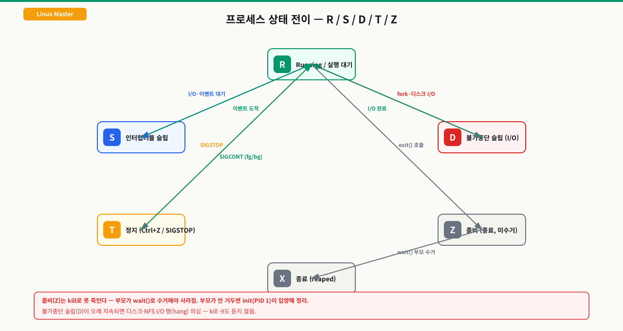 프로세스 상태 전이도 — R/S/D/T/Z 상태와 전환 트리거