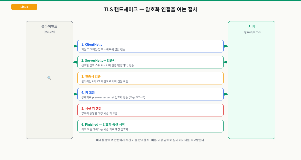 TLS 핸드셰이크 단계 — ClientHello부터 세션 키 합의까지의 절차