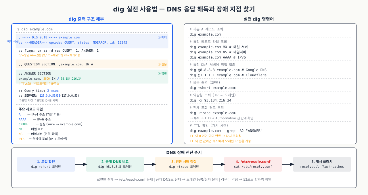 dig 실전 사용법 — DNS 응답 해독과 장애 지점 찾기