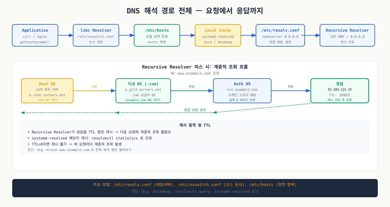 DNS 전체 해석 경로 — 앱에서 authoritative NS까지