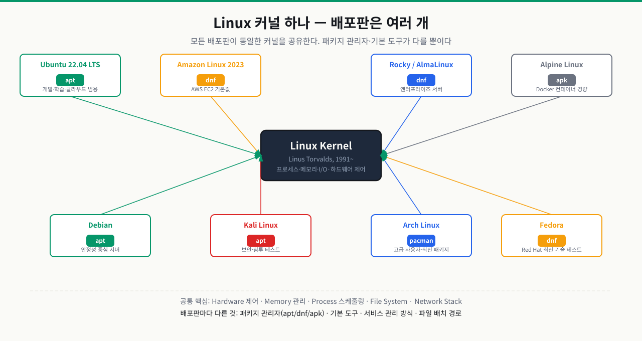 Linux 커널 하나 — 배포판은 여러 개 (apt/dnf/apk)