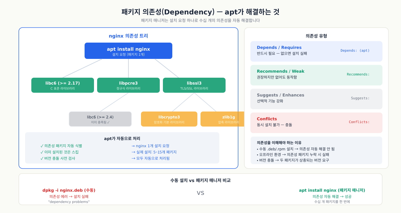 패키지 의존성 트리 — nginx 설치 시 자동 해결되는 의존성 구조