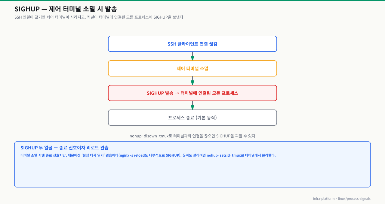 SIGHUP 동작 — SSH 연결 끊김→제어 터미널 소멸→SIGHUP 발송→터미널에 연결된 모든 프로세스 종료(기본 동작)