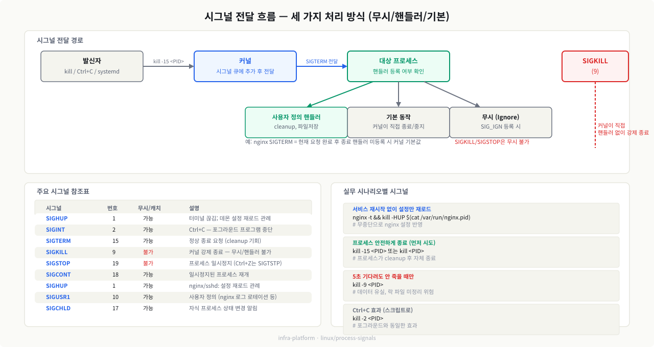 시그널 전달 흐름 — 세 가지 처리 방식 (사용자 핸들러/기본 동작/무시)