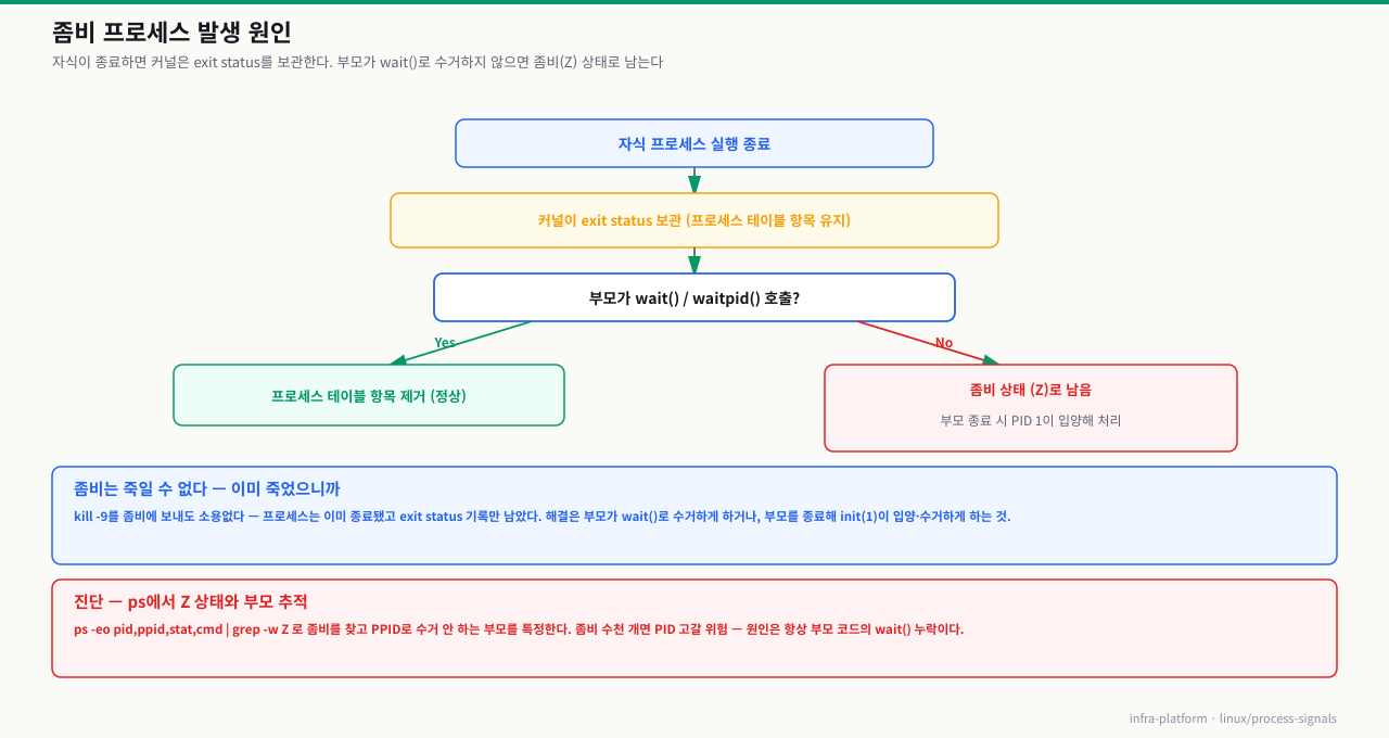 좀비 프로세스 발생 원인 — 자식 종료→커널이 exit status 보관→부모가 wait() 호출하면 항목 제거(정상), 안 하면 좀비(Z) 상태로 남고 부모 종료 시 PID 1이 입양