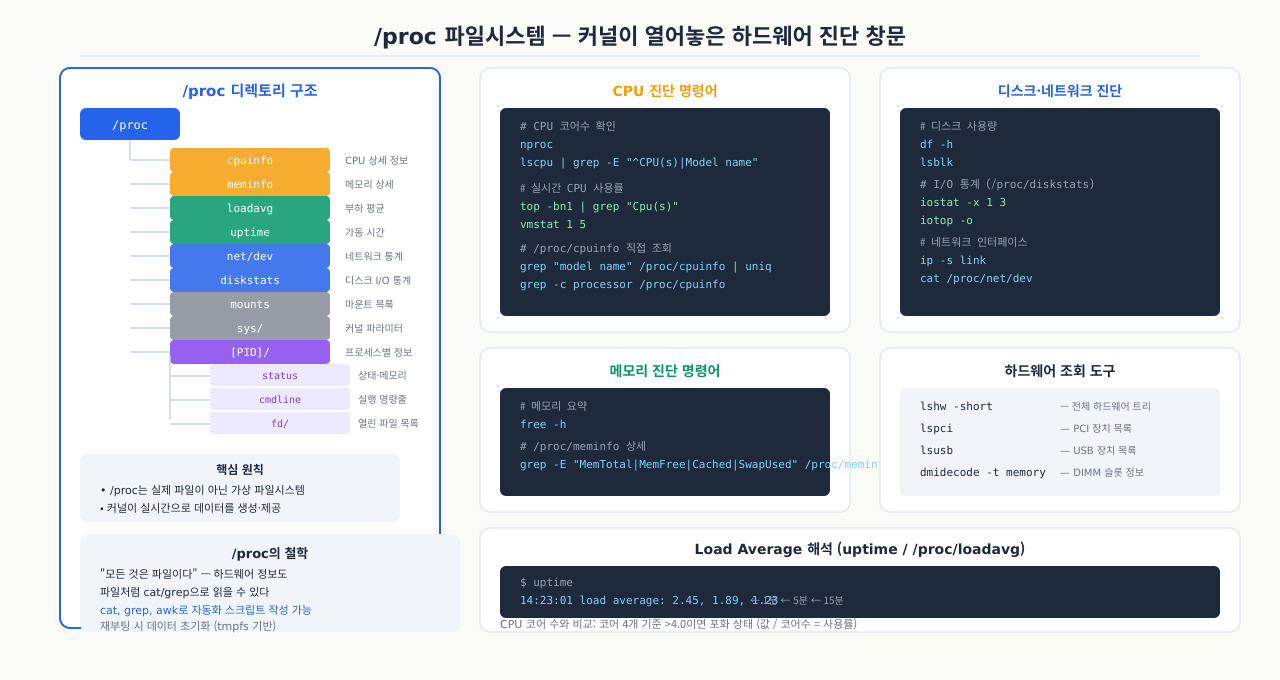 /proc 파일시스템 — 커널이 열어놓은 하드웨어 진단 창문
