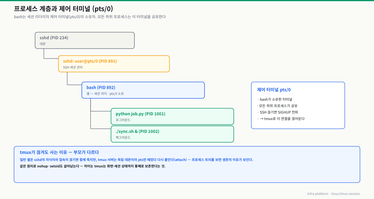 프로세스 계층과 제어 터미널 — sshd→sshd 세션→bash(세션 리더·pts/0 소유)→python(포그라운드)·sync.sh(백그라운드)가 같은 pts/0을 공유