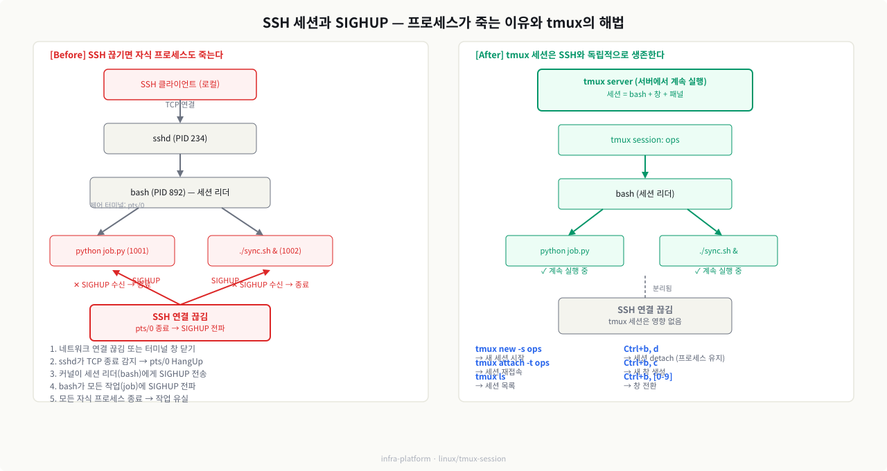 SSH 끊김과 SIGHUP 전파 — tmux 세션이 독립적으로 생존하는 이유