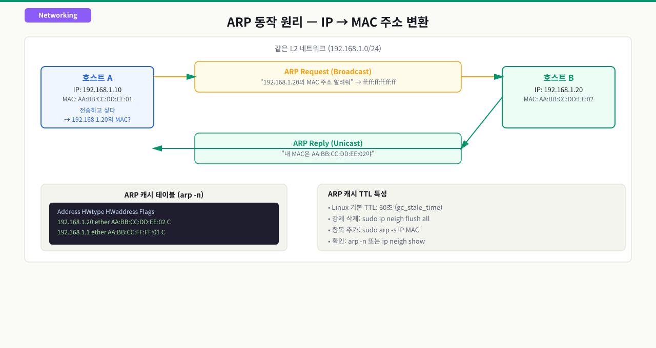ARP란 무엇인가 — IP 주소를 MAC 주소로 변환하는 프로토콜