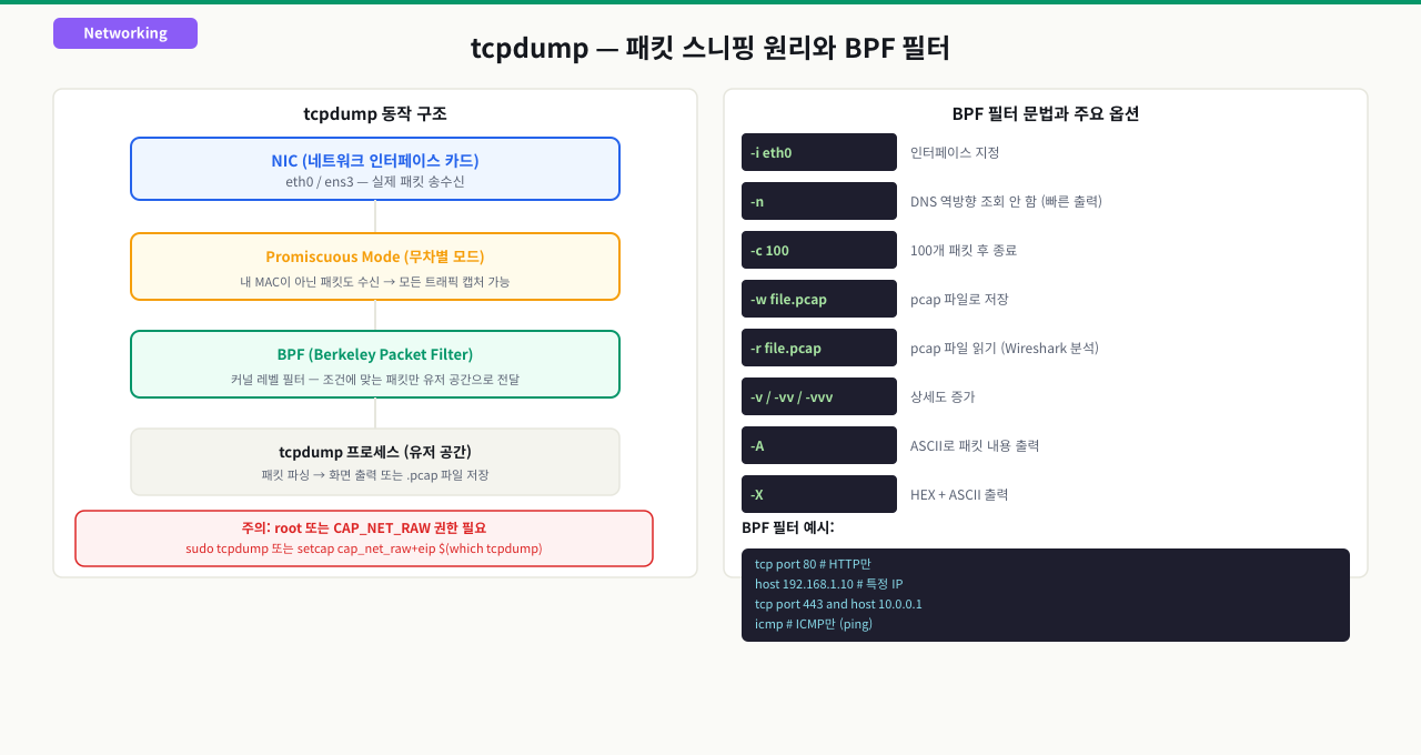 TCP 3-Way Handshake: 패킷 수준 상세 분석