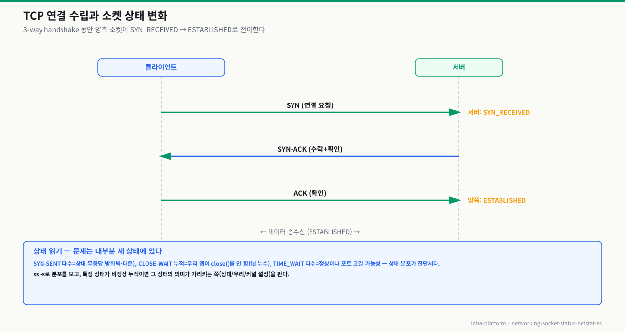 TCP 연결 수립과 소켓 상태 — 3-way handshake 동안 SYN_RECEIVED를 거쳐 양측이 ESTABLISHED가 됨