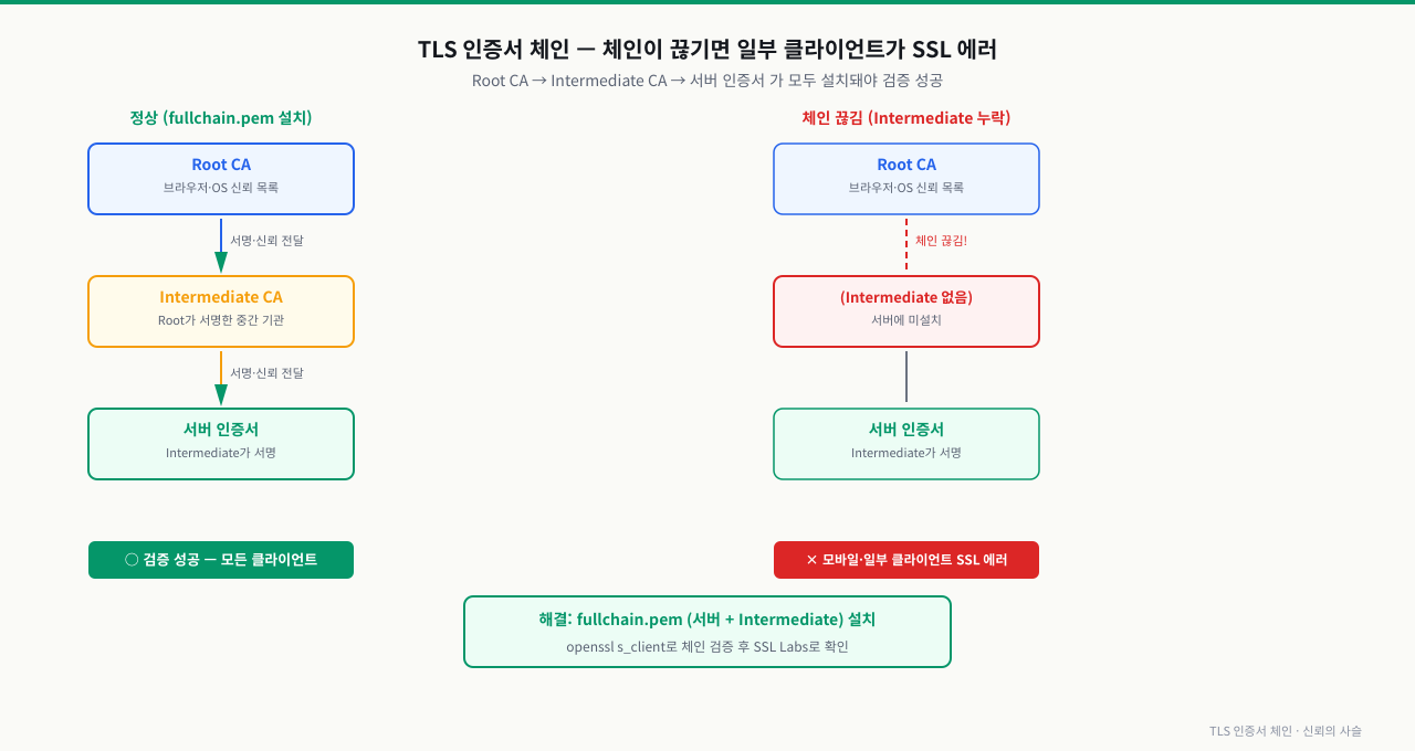TLS 인증서 체인 — 신뢰의 사슬과 끊김